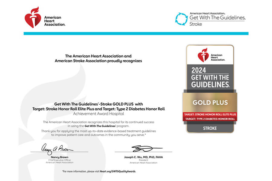 American Heart Association 2024 Recognition - Stroke - Diabetes Gold Plus 